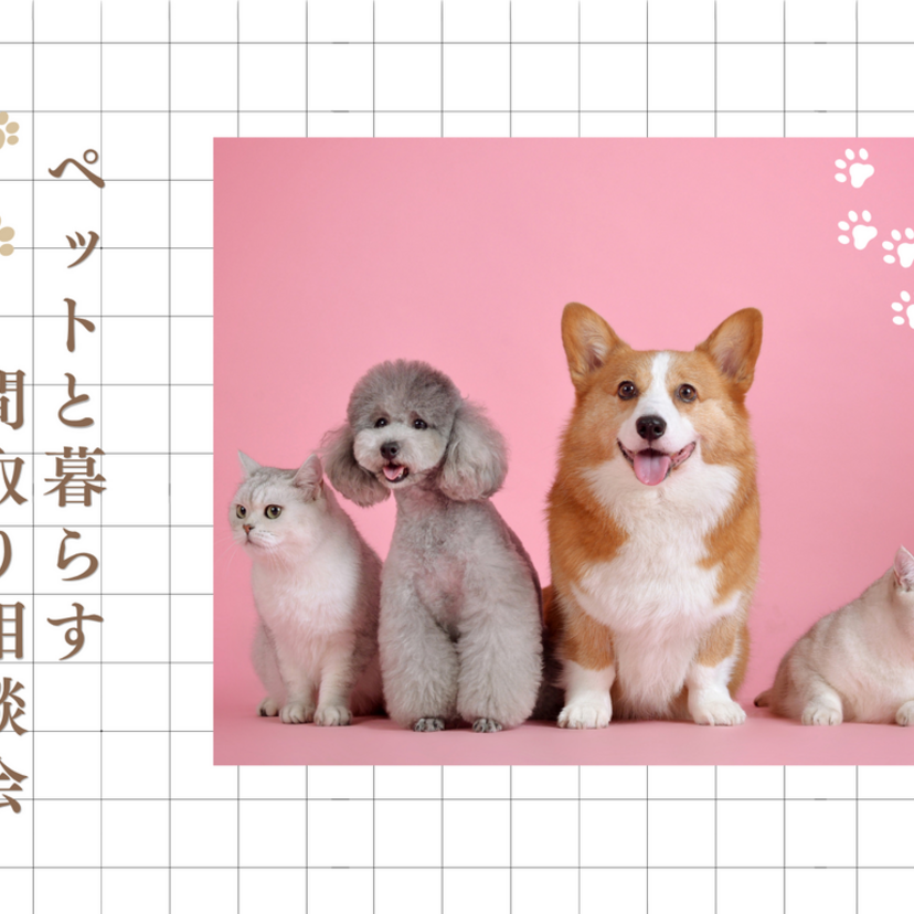 【盛岡市本宮】2026/8/22(土)～9/13(日) ジョイホーム ペットと暮らす間取り相談会